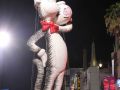 IMG_9172
