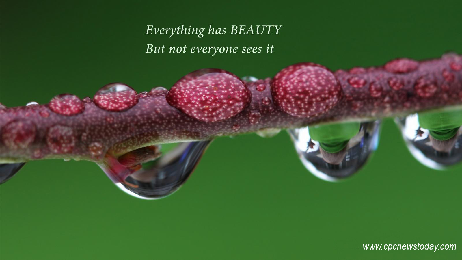 Inspirational